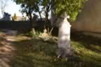 CRW_1589.JPG (75kb)