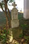 CRW_1594.JPG (66kb)