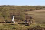 CRW_1604.JPG (62kb)
