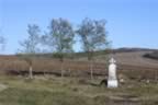 CRW_1620.JPG (57kb)
