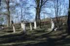 CRW_1623.JPG (93kb)
