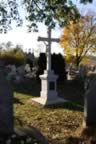 CRW_1625.JPG (87kb)