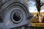 CRW_1642.JPG (53kb)