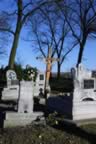 CRW_1645.JPG (80kb)