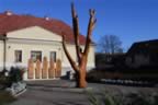 CRW_1675.JPG (52kb)