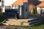 CRW_1699.JPG (68kb)