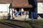 CRW_1719.JPG (66kb)