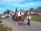 Szureti_felv015.jpg (60kb)